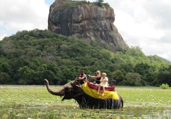 Car hire Sigiriya