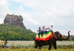 Car Hire Sigiriya