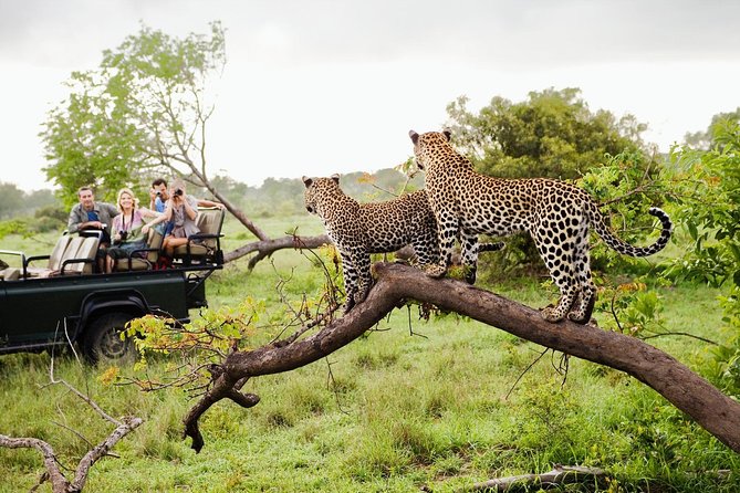 Yala National Park Sri Lanka