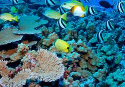 Car hire Colombo
